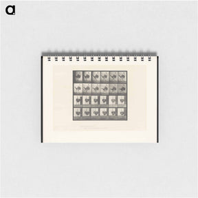 アートメモ帳-Running Ostrich
 - エドワード マイブリッジ Memo.