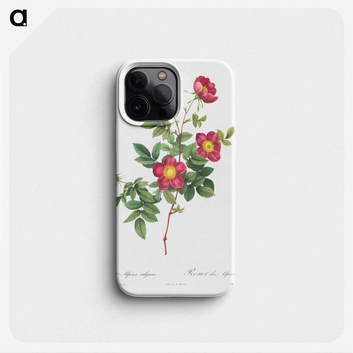 Alpine Rose - Pierre Joseph Redouté Phone Case.