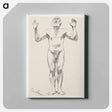 アートパネル-Nude Study of an Old Man
 - クリーブランド美術館 Canvas.