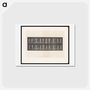 アートポストカード-Stretching Figure
 - エドワード マイブリッジ Postcard.