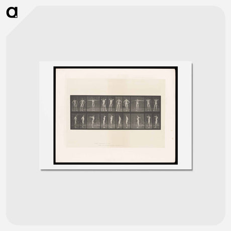 アートポストカード-Stretching Figure
 - エドワード マイブリッジ Postcard.