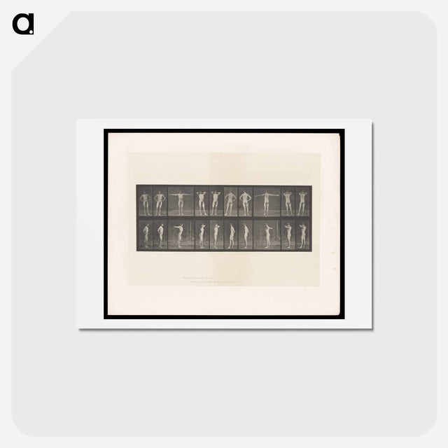 アートポストカード-Stretching Figure
 - エドワード マイブリッジ Postcard.
