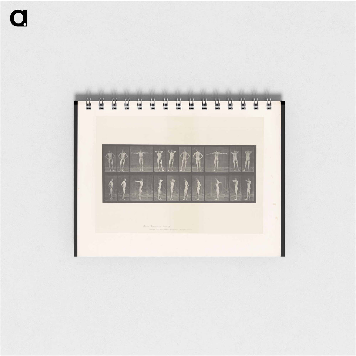 アートメモ帳-Stretching Figure
 - エドワード マイブリッジ Memo.