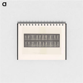 アートメモ帳-Stretching Figure
 - エドワード マイブリッジ Memo.