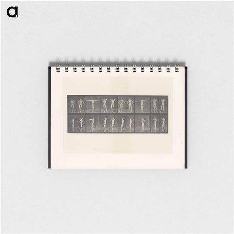 アートメモ帳-Stretching Figure
 - エドワード マイブリッジ Memo.