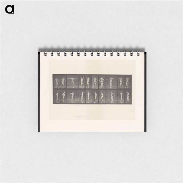 アートメモ帳-Stretching Figure
 - エドワード マイブリッジ Memo.