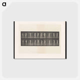 アートポストカード-Stretching Figure
 - エドワード マイブリッジ Postcard.