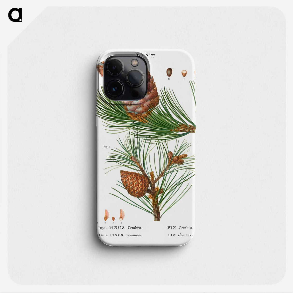 Swiss pine, Pinus cembra and Red pine, Pinus resinosa - Pierre Joseph Redouté Phone Case.