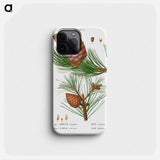 Swiss pine, Pinus cembra and Red pine, Pinus resinosa - Pierre Joseph Redouté Phone Case.