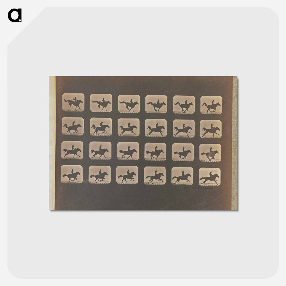 アートポストカード-Leaping
 - エドワード マイブリッジ Postcard.