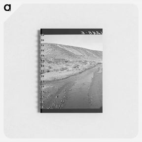 アートメモ帳-Untitled photo - ドロテア ラング Memo.