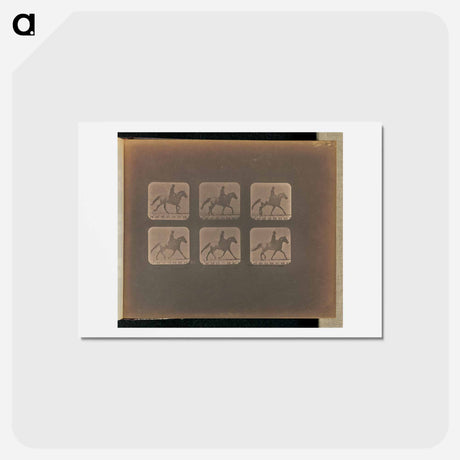 アートポストカード-Trotting - Incomplete
 - エドワード マイブリッジ Postcard.