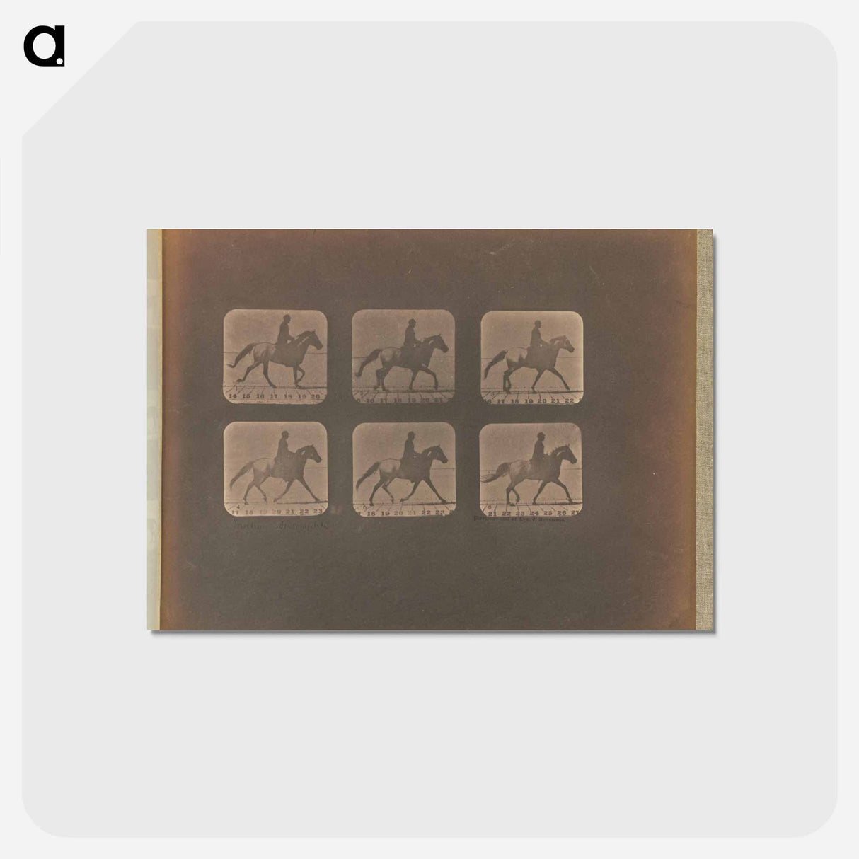 アートポストカード-Trotting - Incomplete
 - エドワード マイブリッジ Postcard.
