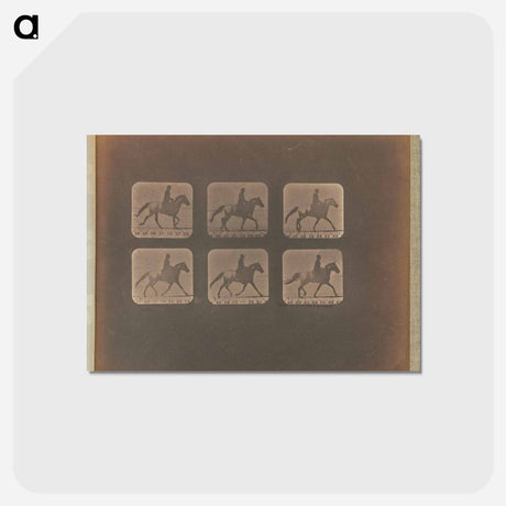 アートポストカード-Trotting - Incomplete
 - エドワード マイブリッジ Postcard.