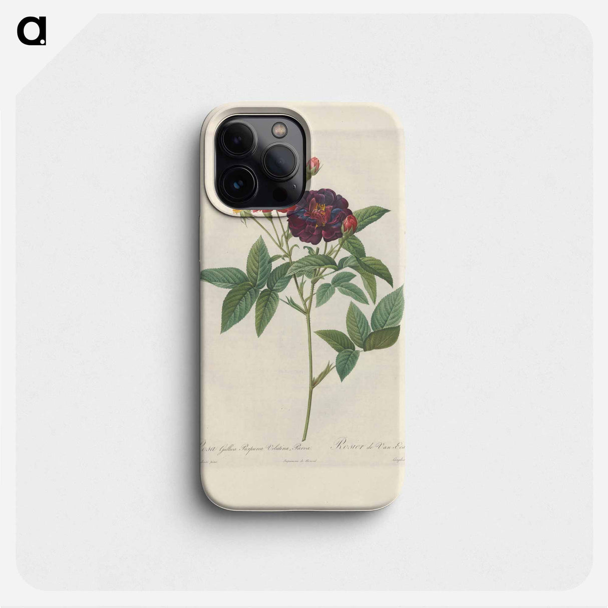 Rose illustration - ピエール ジョゼフ ルドゥーテ Phone Case.