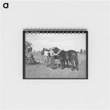 アートメモ帳-Branding the Calf
 - ラッセル リー Memo.