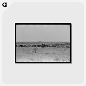 アートポストカード-Branding the Calf
 - ラッセル リー Postcard.