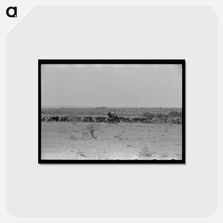 アートポストカード-Branding the Calf
 - ラッセル リー Postcard.
