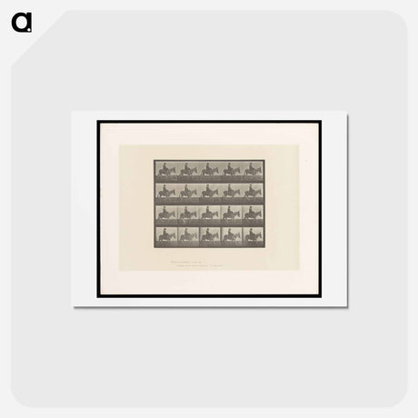 アートポストカード-Girl on Ass
 - エドワード マイブリッジ Postcard.
