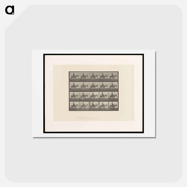 アートポストカード-Girl on Ass
 - エドワード マイブリッジ Postcard.