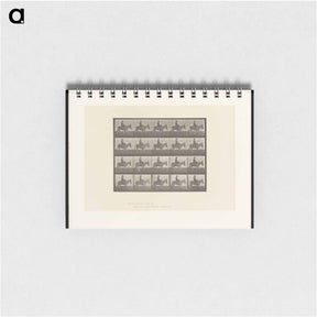 アートメモ帳-Girl on Ass
 - エドワード マイブリッジ Memo.