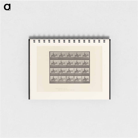 アートメモ帳-Girl on Ass
 - エドワード マイブリッジ Memo.
