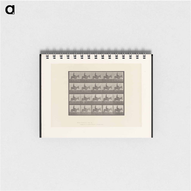 アートメモ帳-Girl on Ass
 - エドワード マイブリッジ Memo.