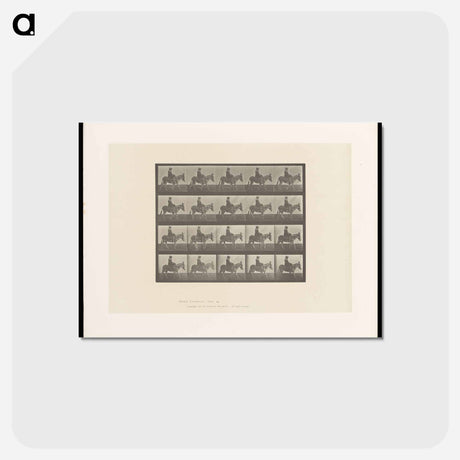 アートポストカード-Girl on Ass
 - エドワード マイブリッジ Postcard.