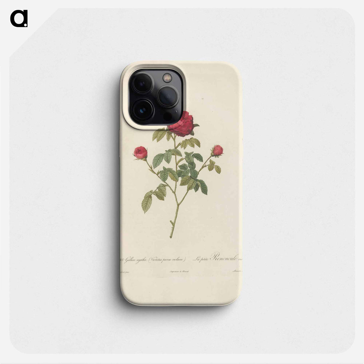 Rose illustration - ピエール ジョゼフ ルドゥーテ Phone Case.