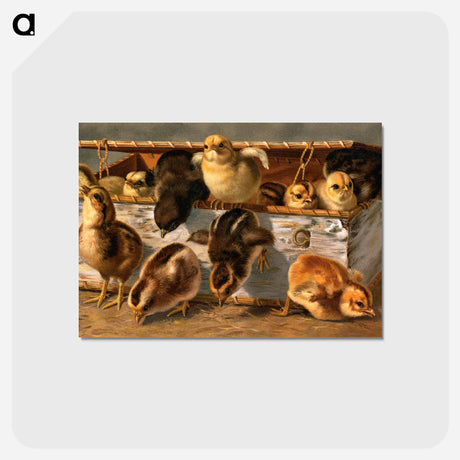 アートポストカード-Dash for Liberty
 - ボストン公共図書館 Postcard.