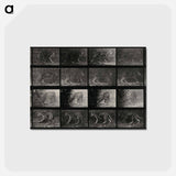 アートポストカード-Leopard in Motion
 - エドワード マイブリッジ Postcard.