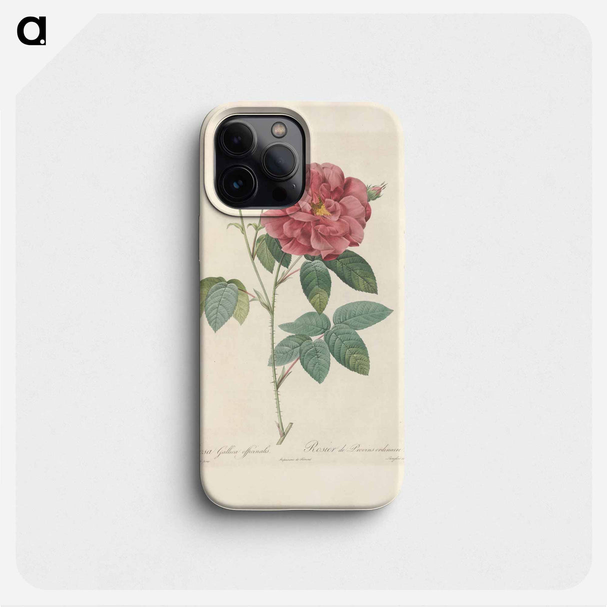 Rose illustration - Pierre Joseph Redouté Phone Case.