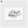 アートポストカード-Mermaid from The Story Of The Mermaiden
 - 大英図書館 Postcard.