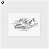 アートポストカード-Mermaid from The Story Of The Mermaiden
 - 大英図書館 Postcard.