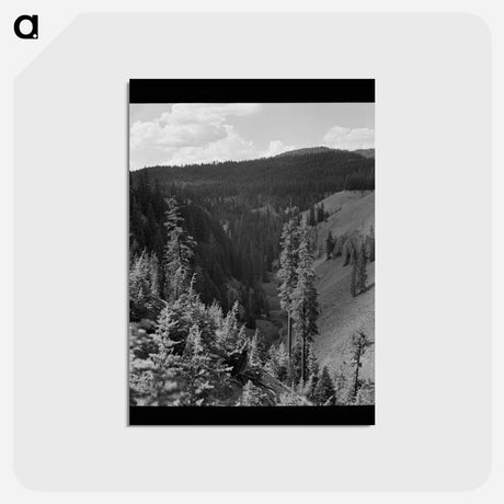 アートポストカード-Annie Creek Canyon
 - ラッセル リー Postcard.