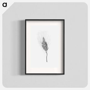 アートポスター-Heshbon Wheat
 - 大英図書館 Poster.
