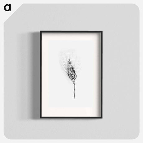 アートポスター-Heshbon Wheat
 - 大英図書館 Poster.