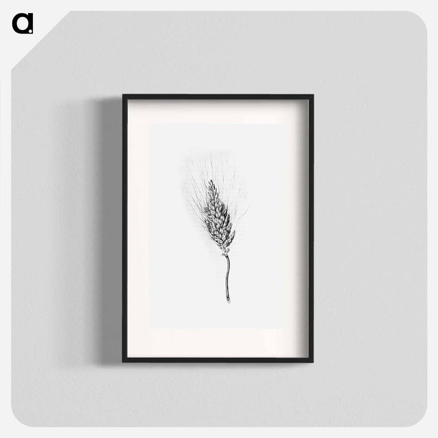 アートポスター-Heshbon Wheat
 - 大英図書館 Poster.