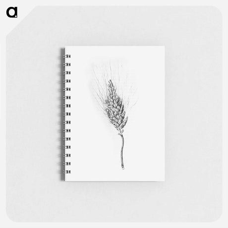 アートメモ帳-Heshbon Wheat
 - 大英図書館 Memo.