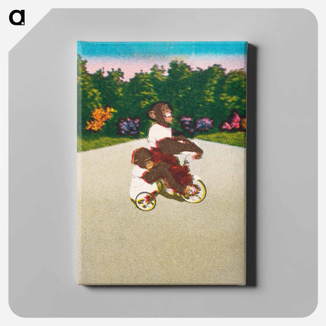 アートパネル-Chimpanzee Tricycle Ride
 - ボストン公共図書館 Canvas.