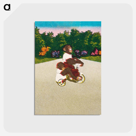 アートポストカード-Chimpanzee Tricycle Ride
 - ボストン公共図書館 Postcard.