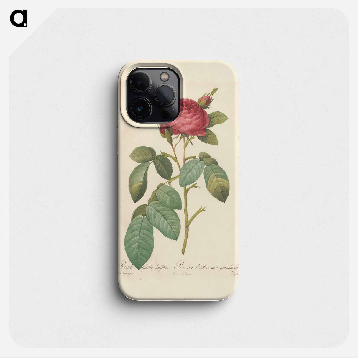 Rose illustration - ピエール ジョゼフ ルドゥーテ Phone Case.