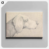アートパネル-Head of a Foxhound, in Profile Right
 - イェール大学アートギャラリー Canvas.