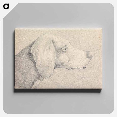 アートパネル-Head of a Foxhound, in Profile Right
 - イェール大学アートギャラリー Canvas.