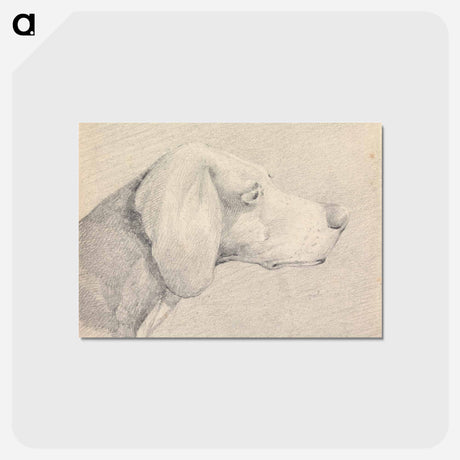 アートポストカード-Head of a Foxhound, in Profile Right
 - イェール大学アートギャラリー Postcard.