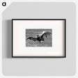 アートポスター-Flying Bat from Woodland Romances; Or, Fables And Fancies
 - 大英図書館 Poster.