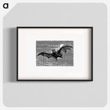 アートポスター-Flying Bat from Woodland Romances; Or, Fables And Fancies
 - 大英図書館 Poster.