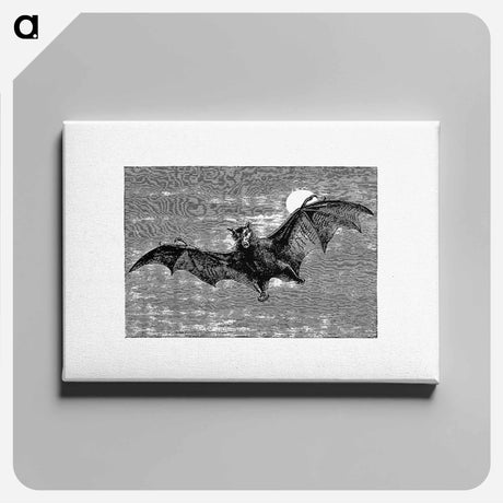 アートパネル-Flying Bat from Woodland Romances; Or, Fables And Fancies
 - 大英図書館 Canvas.