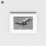 アートメモ帳-Flying Bat from Woodland Romances; Or, Fables And Fancies
 - 大英図書館 Memo.