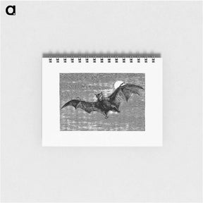 アートメモ帳-Flying Bat from Woodland Romances; Or, Fables And Fancies
 - 大英図書館 Memo.